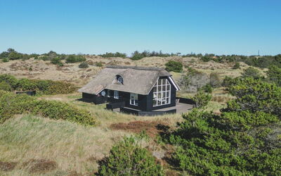 Yanne - 1Km from the Sea