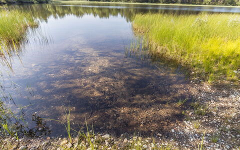 Sevettijärventie 8753: L'Eau, Environnement Naturel, La Nature, Le Marais, Communauté Des Plantes, Réflexion, Banque