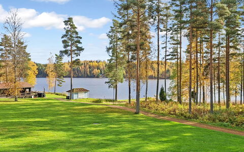 Villa Sinikka 1: Arbre, Herbe, Vert, Feuille, Paysage Naturel, Paysage, Lot Terre, Banque, Jardin