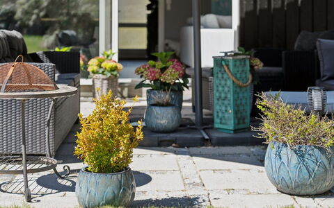 Loreia - 1.4Km from the Sea: Meubles, Mobilier De Jardin, Vaisselle, Table, Drinkware, Chaise, Tableau De Plein Air, Aliments, Bouteille