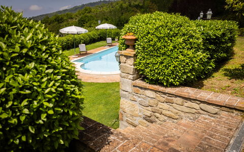 Casa Ivan: Arbuste, Jardin, Couverture De Sol, Haie, Aménagement Paysager, Pelouse, Arrière-Cour, Piscine, Cour, Eco Hôtel