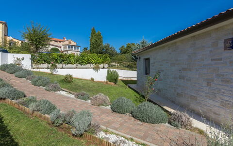 Villa Joy: Arbre, Environnement Naturel, Paysage, Vue Du Ciel, Photographie Aérienne, Paysage Naturel, Zone Rurale, Zone Résidentielle, Lot Terre
