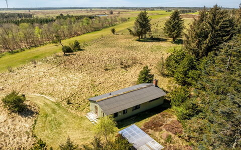 Fatlinda - 4Km from the Sea: Bois, Jardin, Arrière-Cour, Lot Terre, Domicile, Toit, Ombre, Plate-Forme, Dur, Cour