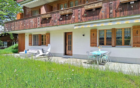 Steinnägeli: Porte, Chalet, Biens, Cour, Dur, Tache De Bois, Ferme, Arrière-Cour, Balcon