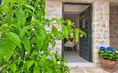 Mate: Piscine, Recours, Eco Hôtel, Ombre, Hôtel, Aménagement Paysager, Villa, Ville Resort, Balcon