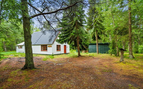 Jooseppi - 4.8Km from the Sea: Arbre, Herbe, Bois, Chalet, Domicile, Lot Terre, Zone Rurale, Tronc, Des Bois, Batiments Jardin