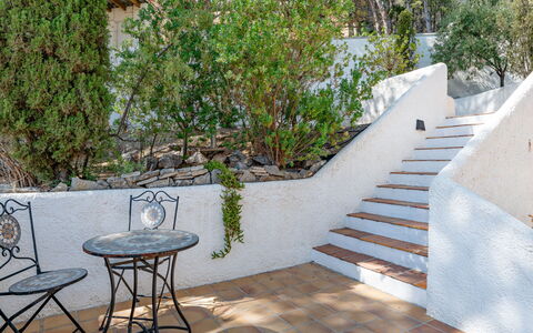 Preciados: Escaliers, Pot De Fleur, Jardin, Ombre, Dalle, Aménagement Paysager, Balustrade, Plante D'Appartement, Conception, Mobilier De Jardin
