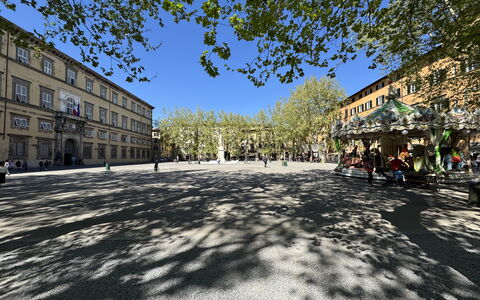 Alla Torre: Arbre, Surface De La Route, Espace Public, Ville, Rue, Centre De La Ville, Établissements Humains, Ombre, Place