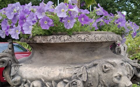 The Mews: Fleur, Pot De Fleur, Printemps, Violet, Jardin, Plante D'Appartement, Floristique, Violet, Art Floral