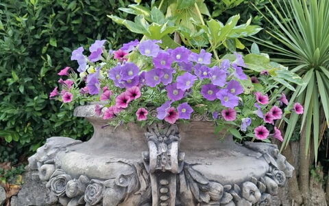 The Mews: Fleur, Jardin, Pot De Fleur, Printemps, Plante D'Appartement, Caractéristique De L'Eau, Floristique, Pelouse Ornement