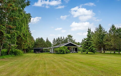 Linnea - from the Sea: Herbe, Arbre, Vert, Plaine, Paysage, Lot Terre, Domicile, Prairie, Pelouse, Zone Rurale