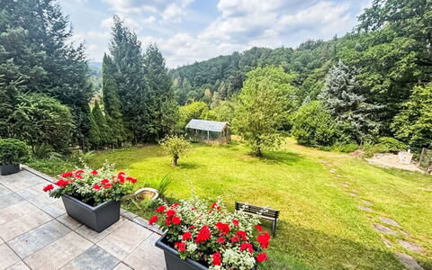 Děčín Heights: Végétation, Arbuste, Paysage, Jardin, Couverture De Sol, Printemps, Aménagement Paysager, Jardin Botanique, À Feuilles Persistantes