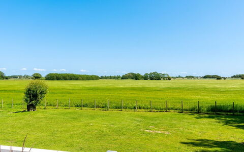 Saku - 375M from the Sea: Ciel, Bleu, Vert, Jour, Herbe, Environnement Naturel, Prairie, Paysage Naturel, Plaine, Nuage