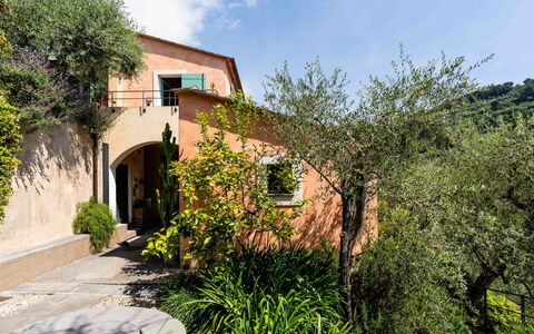 San Bartolomeo al Mare 650: Feuille, Végétation, Arbuste, Architecture, Domicile, Jardin, Biens, Aménagement Paysager, Hacienda