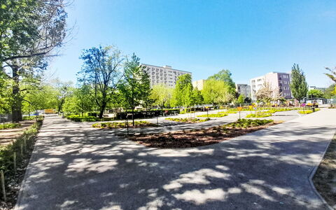 Przy Klifie: Arbre, Arbuste, Espace Public, Jardin, Trottoir, Passerelle, Parc, Aménagement Paysager, Centre De La Ville, Jardin Botanique