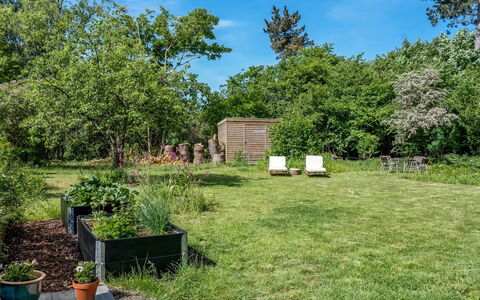 Franki - 1.8Km from the Sea: Végétation, Arbuste, Jardin, Lot Terre, Communauté Des Plantes, Couverture De Sol, Pelouse, Ombre, Arrière-Cour