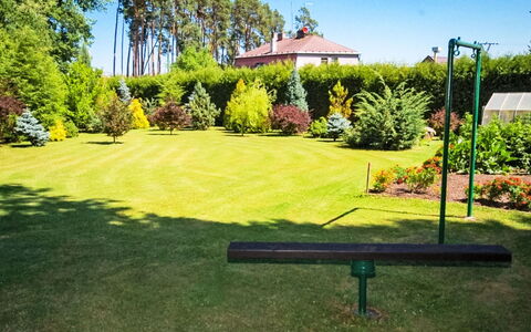 Forestside Villa: Herbe, Vert, Arbuste, Jardin, Pelouse, Suppression Des Plantes Ligneuses, Aménagement Paysager, Ombre, Parc