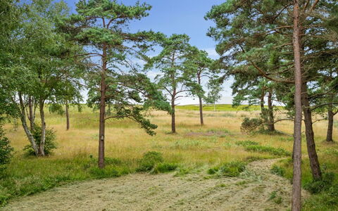 Aman - 100M from the Sea: Herbe, Bois, Zone Rurale, Arbuste, Chalet, Toit, Plaine, Lot Terre, Domicile, Couverture De Sol
