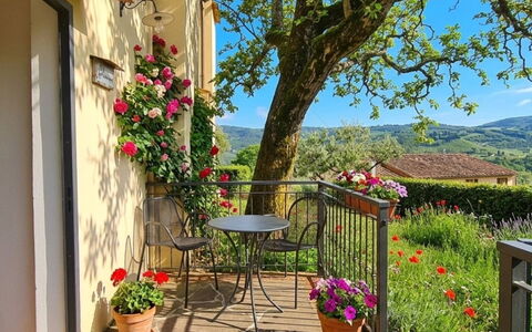 Gelsomino: Fleur, Printemps, Pot De Fleur, Plante D'Appartement, Jardin, Chaise, Balcon, Tableau De Plein Air, Cour