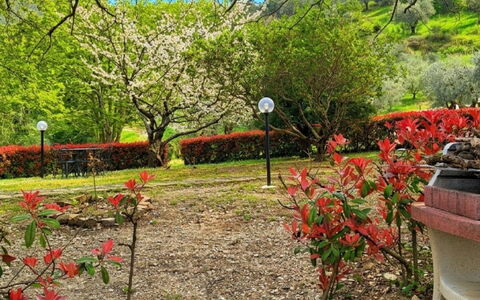 Rosmarino: Feuille, La Nature, Branche, Végétation, Jardin, Arbuste, Pétale, Printemps, Couverture De Sol