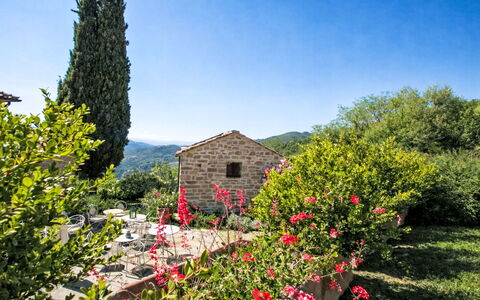 La Noce: Fleur, Arbuste, Jardin, Printemps, Chaîne De Montagnes, Aménagement Paysager, Jardin Botanique, Famille Rose
