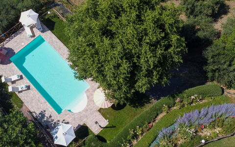 Casa dei Nonni: Piscine, Jardin, Loisir, Recours, Pelouse, Biens, Arrière-Cour, Aménagement Paysager, Ombre, Cour