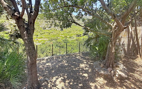 Villa sulla Roccia: Branche, Bois, Communauté Des Plantes, Tronc, Sol, Suppression Des Plantes Ligneuses, Ombre, Clôture, Jardin