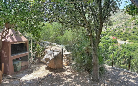 Villa sulla Roccia: Végétation, Arbuste, Communauté Des Plantes, Zone Rurale, Jardin, Sol, Formations Arbustives, Arrière-Cour, Chemin