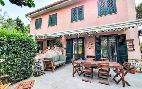Last Sun Roccella: Domicile, Porte, Pot De Fleur, Ombre, Plante D'Appartement, Balcon, Jardin, Cour, Biens, Hacienda