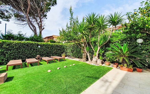 Last Sun Roccella: Vert, Arbuste, Jardin, Couverture De Sol, Pelouse, Aménagement Paysager, Ombre, Cour, Gazon Artificiel