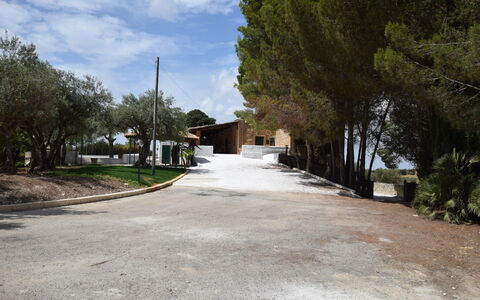 Villa Chiaramonte Gulfi: Arbre, Surface De La Route, Allée, Ombre, Aménagement Paysager, Hacienda, Ombre, Chemin