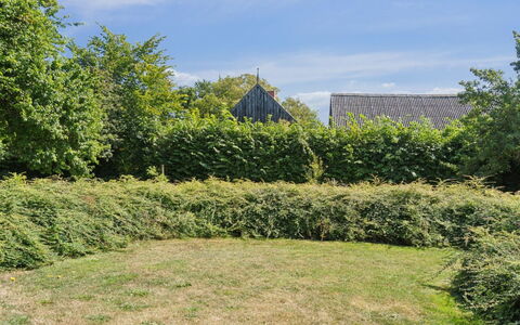 Skjold - 250M from the Sea: Herbe, Végétation, Arbuste, Communauté Des Plantes, Couverture De Sol, Haie, Lot Terre, Jardin, Plantation