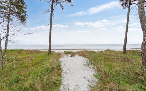 Liska - 60M from the Sea: Environnement Naturel, Écorégion, Côte, Paysage, Cotiers Et Relief Océaniques, Plaine, Mer, Rive, Plage, Océan