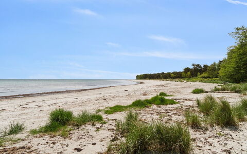 Liska - 60M from the Sea: Environnement Naturel, Été, Horizon, Écorégion, Côte, Plage, Cotiers Et Relief Océaniques, Rive, Le Sable, Mer