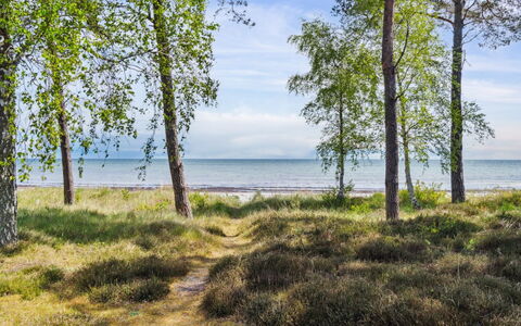 Liska - 60M from the Sea: Bois, Toit, Domicile, Maison, Architecture, Siding, Lot Terre, Chalet, Cabanon, Batiments Jardin