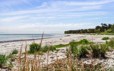 Liska - 60M from the Sea