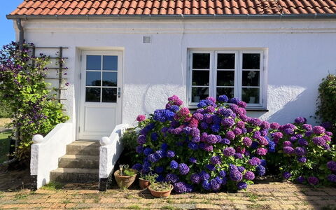 Hening - 150M from the Sea: Bâtiment, Maison, Fenêtre, Domicile, Toit, Zone Résidentielle, Arbuste, Chalet, Lot Terre