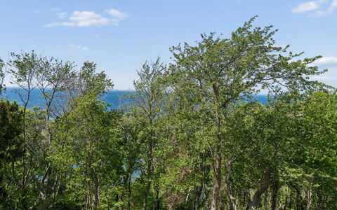 Arnt - 100M from the Sea: Feuille, Arbre, Environnement Naturel, La Nature, Branche, Végétation, Écorégion, Arbuste, Communauté Des Plantes, Réserve Naturelle