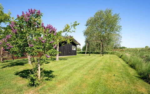 Svenne - 600M from the Sea: Vert, Arbuste, Jardin, Lot Terre, Couverture De Sol, Printemps, Chalet, Pelouse, Prairie, Cour