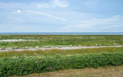 Tavita - 100M from the Sea