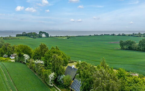 Verene - 725M from the Sea: Vert, Herbe, Paysage Naturel, Prairie, Paysage, Plaine, Lot Terre, Champ, Zone Rurale, Plantation
