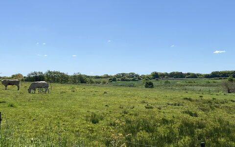 Grimi - 36Km from the Sea: Bleu, Arbuste, Chalet, Couverture De Sol, Jardin, Biens, Ombre, Aménagement Paysager, Ferme, Eco Hôtel
