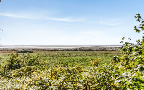 Aave - 5Km from the Sea: Vert, Colline, Montagnes, Agriculture, Plantation, Station De Montagne, Champ, Zone Rurale, Prairie, Pâturage