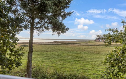Aave - 5Km from the Sea: Vert, Colline, Montagnes, Agriculture, Plantation, Station De Montagne, Champ, Zone Rurale, Prairie, Pâturage