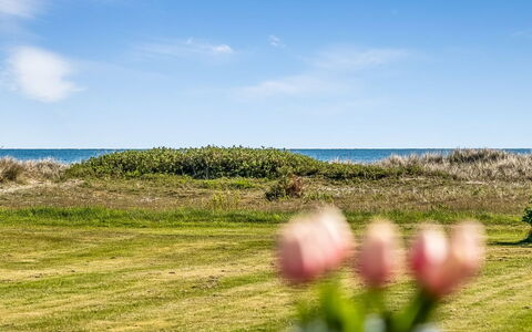 Nomi - 100M from the Sea: Ciel, Bleu, Herbe, Horizon, Écorégion, Prairie, Été, Mer, Plaine, Côte
