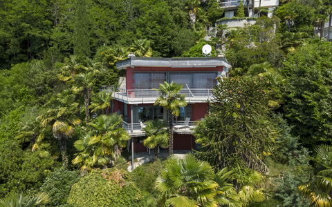 Max: Arbre, Végétation, Arbuste, Balcon, Biens, Hacienda, Jungle, Eco Hôtel, Villa