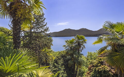 Max: Bleu, L'Eau, Vert, La Nature, Feuille, Végétation, Cotiers Et Relief Océaniques, Lac, Tropiques, Chaîne De Montagnes