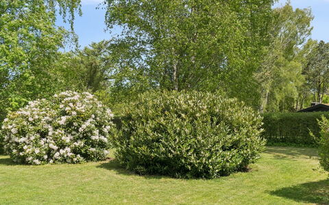 Alika - 700M from the Sea: Feuille, Arbuste, Communauté Des Plantes, Couverture De Sol, Jardin, Suppression Des Plantes Ligneuses, Printemps, Haie, Pelouse