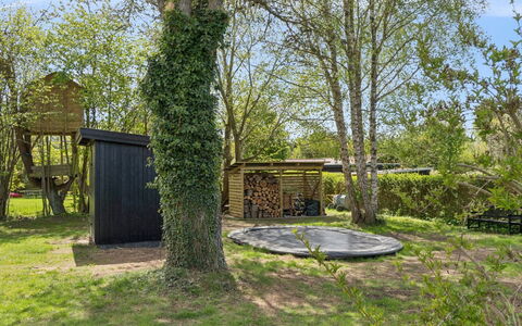 Alika - 700M from the Sea: Branche, Bois, Arbuste, Jardin, Lot Terre, Tronc, Ombre, Couverture De Sol, Suppression Des Plantes Ligneuses, Arrière-Cour