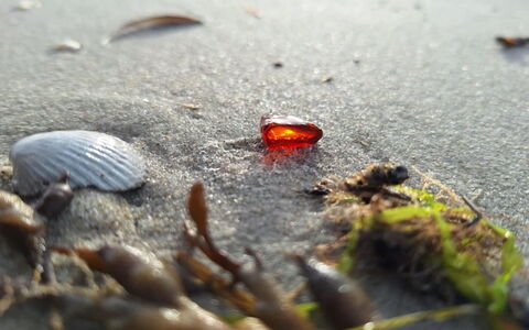 Mavis - 1.6Km from the Sea: Orange, Matériau Naturel